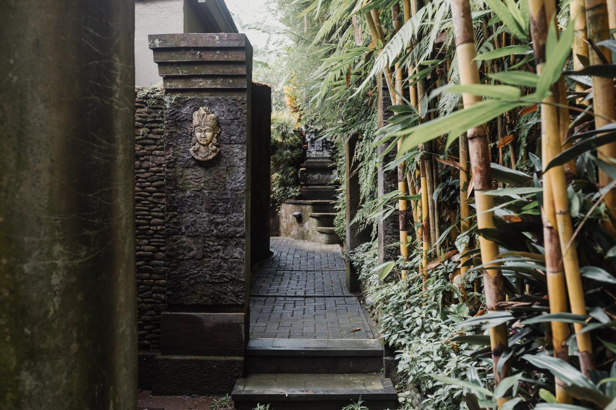 The Iyang Ubud أوبود المظهر الخارجي الصورة